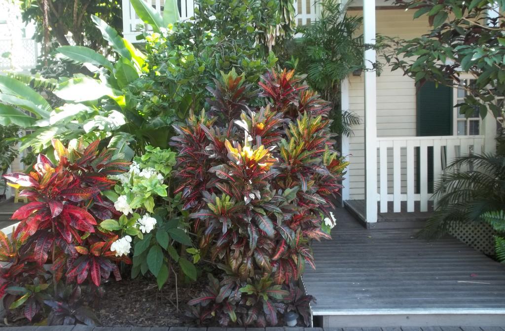 Duval House Bed and Breakfast Κι Γουέστ Εξωτερικό φωτογραφία